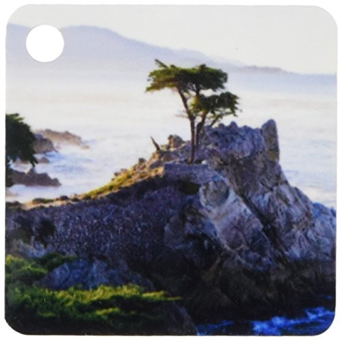 3dRose California. Carmel-by-the-Sea, Lone Cypress - US05 RBE0011 - Ralph H. Bendjebar - Key Chains, 2.25 x 4.5 inches, set of 2 (kc_88586_1)