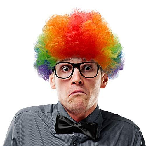 Afro Costume Clown Wig 70's 80's Disco Theme (Rainbow)