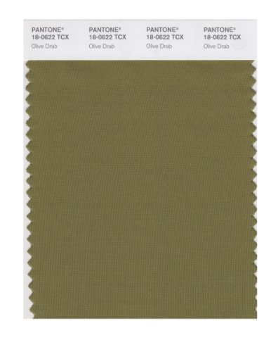 PANTONE SMART 18-0622X Color Swatch Card, Olive Drab
