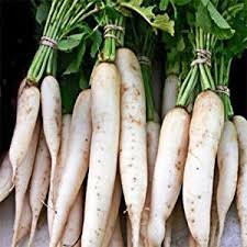 Organic Bulk Daikon Radish Seeds Japanese Minowase (1 Lb)