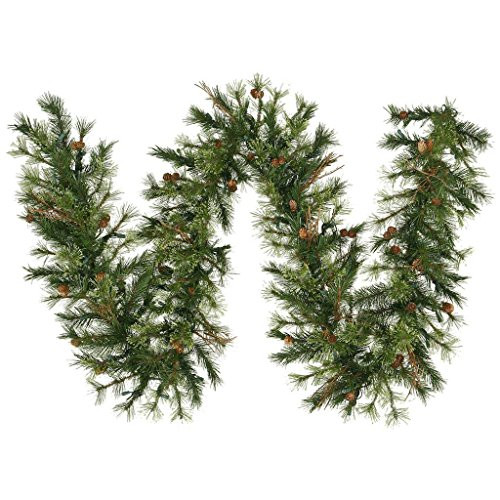 Vickerman Mixed Country Pine Garland with 200 Tips, 9-Feet by 12-Inch