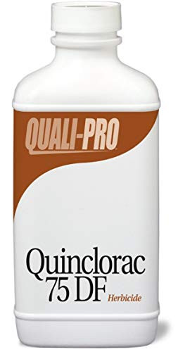 Quinclorac 75 DF Selective Herbicide Equivalent to Drive quali-1014
