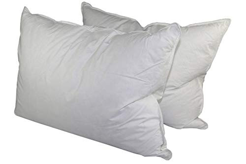 Eastwarmth Bedding 50% White Goose Down & Feather Pair Pillows for Sleeping, Set of 2, 100% Organic Cotton, Standard 20x26in