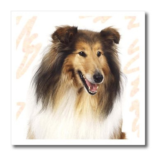 3dRose ht_4544_1 Rough Collie Portrait Iron on Heat Transfer for White Material, 8 by 8-Inch 3dRose ht_4544_1 Rough Collie Portrait Iron on Heat Transfer for White Material, 8 by 8-Inch