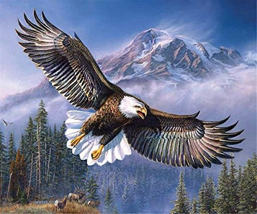 DIY 5D Diamond Painting Kit - Full Drill Crystal Rhinestone Embroidery Paint with Diamonds Arts Craft for Home Wall Decor - Eagle 12x16inch