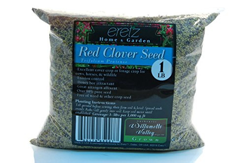 Red Clover Legume Seed by Eretz - Willamette Valley, Oregon Grown (1lb)