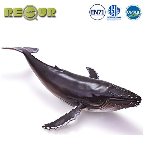 RECUR Toys 11.6 Humpback Whale Figure Toys, Soft Hand-Painted Skin Texture Shark Figurine Collection-Replica 1:45 Scale Realistic Design Whale Replica, Ideal for Collectors, Ages 3 and Up