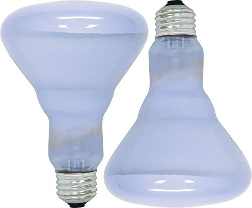 GE Lighting Reveal 65-watt 445-Lumen BR30 Flood Light Bulbs (2 Bulbs)