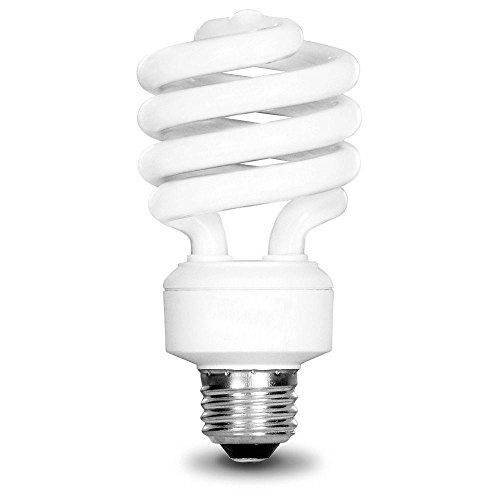EcoSmart 75W Equivalent Daylight 5000K Spiral CFL Light Bulb (2-Pack)