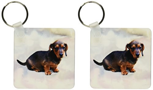 3dRose Miniature Dachshund - Key Chains, 2.25 x 4.5 inches, set of 2 (kc_4157_1)