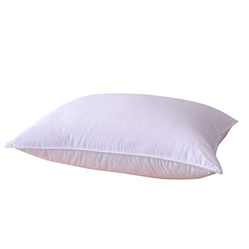 Homtyler Natural White Goose Down Feather Pillow,Luxury Bed Pillow for Sleeping,100% Egyptian Cotton Fabric Cover,Bed Pillow Downproof- Standard/Queen