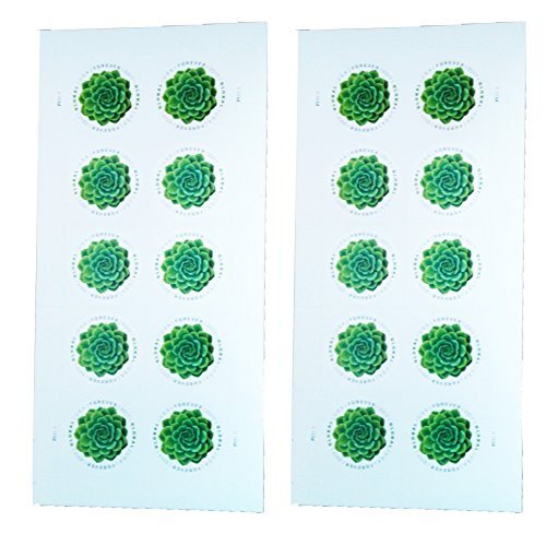 Green Succulent Sheet of 10 Global USPS First Class International Forever Postage Stamps (2)