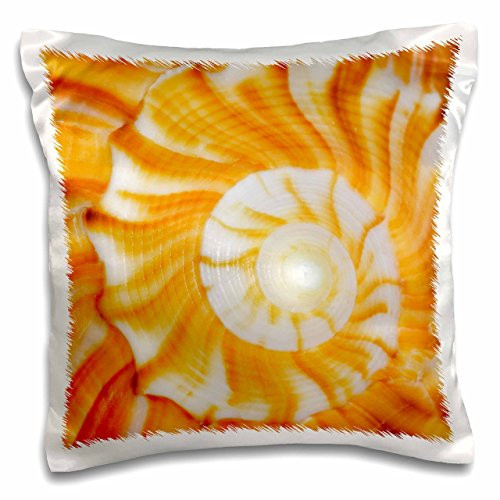 3D Rose Natural Spiral Pattern in Seashell-Florida-Us10 Aje0186-Adam Jones Design Pillowcase, 16" x 16"