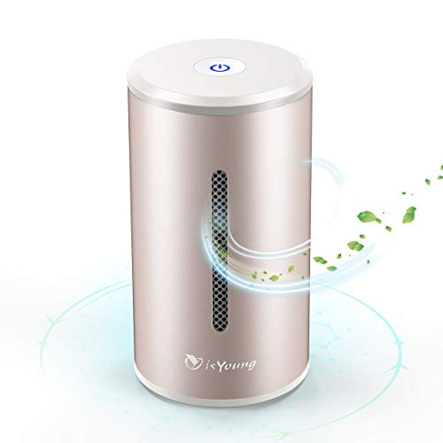 isYoung Air Purifier with True Hepa Filter, Odor Allergies Eliminator, Air Cleaner for Smokers, Smoke, Dust, Mold, Home and Pets (Gold)