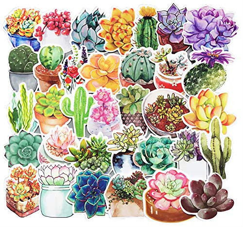 Honch Succulent Stickers Pack 70 Pcs Suitcase Stickers Vinyl Decals for Laptop Bumper Helmet Ipad Car Luggage Water Bottle