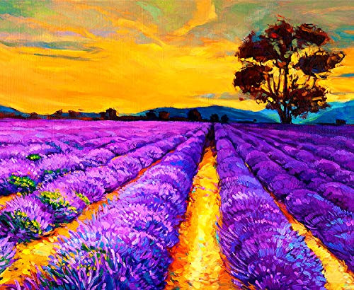 Jigsaw Puzzles 500 Pieces Jigsaw Puzzle for Adult Kids - Provence Lavender Puzzles - Landscape Jigsaw Puzzle Game Artwork for Adults Teens Jigsaw Puzzles 500 Pieces Jigsaw Puzzle for Adult Kids - Provence Lavender Puzzles - Landscape Jigsaw Puzzle Game Artwork for Adults Teens