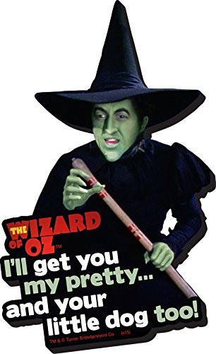 Aquarius Wizard of Oz Witch Funky Chunky Magnet