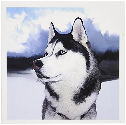 3dRose Siberian Husky - Greeting Cards, 6 x 6 inches, set of 6 (gc_4438_1)