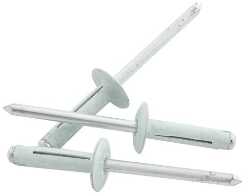 Allstar Performance ALL18188 White 3/16" Aluminum Medium Flange Head Rivet, (Pack of 250)