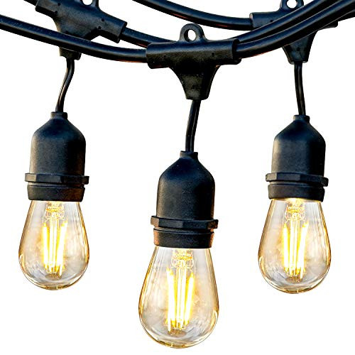 Brightech Ambience Pro - Waterproof LED Outdoor String Lights - Hanging 1W Vintage Edison Bulbs - 48 Ft Commercial Grade Patio Lights Create Bistro Ambience On Your Porch