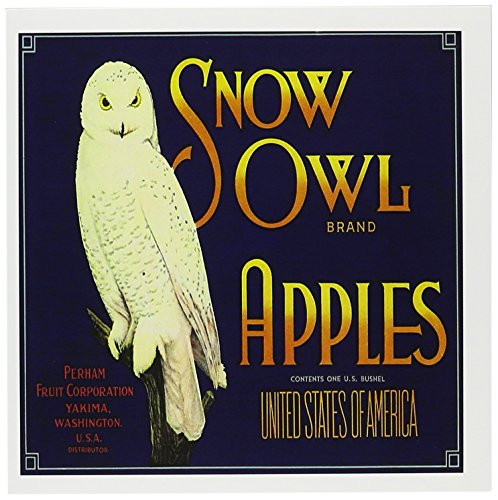 3dRose Snow Owl Brand Apples Washington with White Snow Owl on a Branch - Greeting Cards, 6 x 6 inches, set of 6 (gc_171125_1)