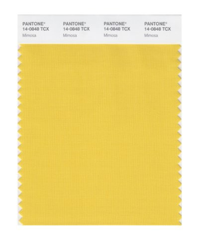 PANTONE Smart 14-0848X Color Swatch Card, Mimosa