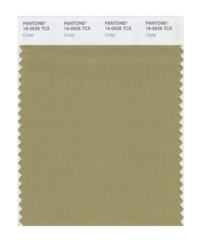 PANTONE Smart 16-0526X Color Swatch Card, Cedar
