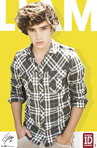 Trends International One Direction-Liam Payne Mount Bundle Wall Poster, 22.375" x 34", Multi