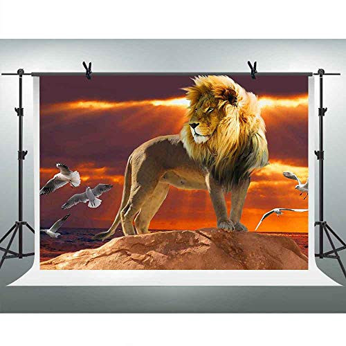 FHZON 10x7ft Lion Photo Backdrop Sunset Sky Photography Background Themed Party YouTube Backdrops Photo Booth Props LSFH399