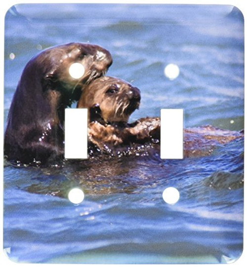 3dRose lsp_88467_2 California Sea Otter, Moss Landing, California Us05 Jgs0199 Jim Goldstein Double Toggle Switch