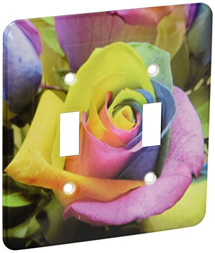 3dRose lsp_107332_2 Tye Dye Roses, Rainbow Roses Double Toggle Switch