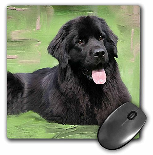 3dRose LLC 8 x 8 x 0.25 Inches Mouse Pad, Newfoundland (mp_4828_1)