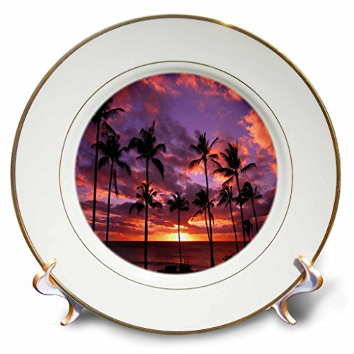 3dRose cp_173297_1 Colorful Tropical Sunset Night Scene, Hawaii Sunset-Porcelain Plate, 8-Inch