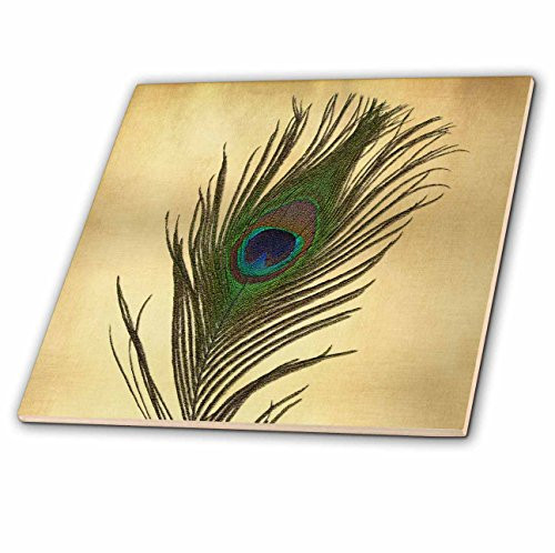 3dRose ct_172148_3 Elegant Peacock Feather on Gold-Ceramic Tile, 8-Inch