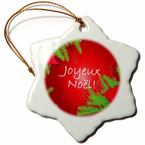 3dRose orn_8686_1 Christmas Poinsettia Joyeux Noel in Red-Snowflake Ornament, Porcelain, 3-Inch