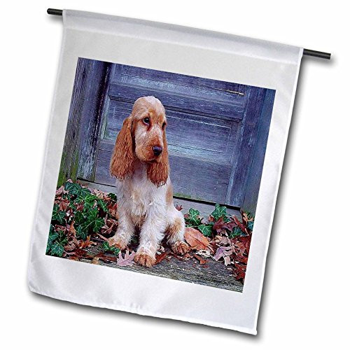 3dRose fl_14425_1 English Cocker Spaniel Garden Flag, 12 by 18-Inch
