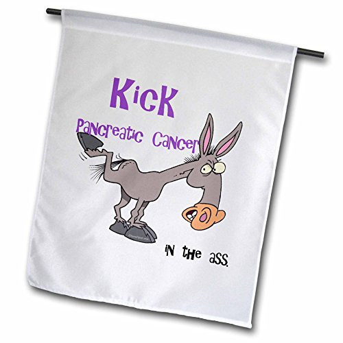 3dRose fl_115639_1 Kick Pancreatic Cancer in The Ass Awareness Ribbon Cause Design Garden Flag, 12 by 18-Inch