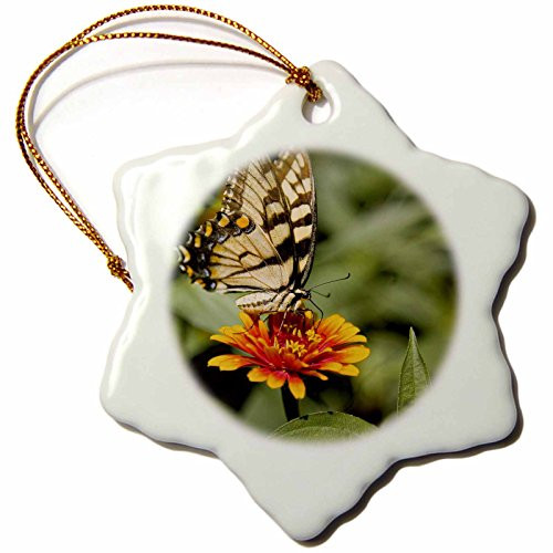 3dRose orn_55994_1 Tiger Swallowtail Butterfly Floral-Snowflake Ornament, 3-Inch, Porcelain