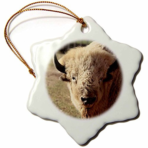 3dRose orn_92633_1 White Buffalo Wildlife, Santa Fe, New Mexico-Us32 Jmr0089-Julien Mcroberts-Snowflake Ornament, 3-Inch, Porcelain 3dRose orn_92633_1 White Buffalo Wildlife, Santa Fe, New Mexico-Us32 Jmr0089-Julien Mcroberts-Snowflake Ornament, 3-Inch, Porcelain