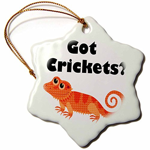 3dRose ORN_193331_1 Got Crickets, Orange, Snowflake Ornament, Porcelain, 3-Inch