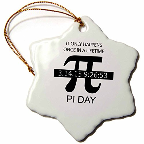 3dRose ORN_202810_1 Pi Day Once in a Lifetime Snowflake Ornament, Porcelain, 3-Inch