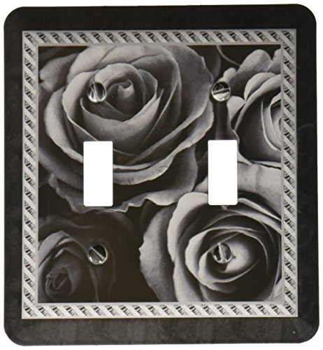 3dRose lsp_29956_2 Pewter gray roses surrounded by a striped and marbleized frame Toggle Switch Multi-Color