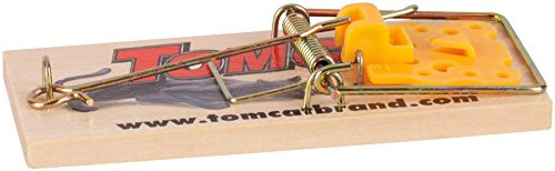Tomcat 0373312 Mouse Traps (Wooden), 1 Pack