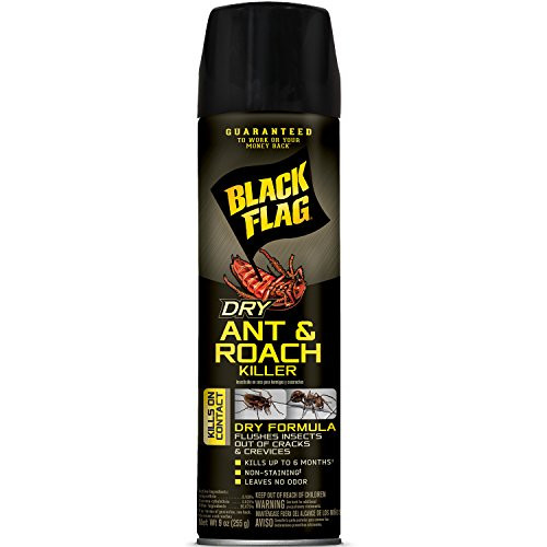 Black Flag Dry Ant and Roach Killer Aerosol, 9-Ounce