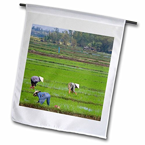 3dRose fl_69563_1"Vietnamese Farmer, Rice Paddy, Hoi an, David R. Frazier Garden Flag, 12 x 18