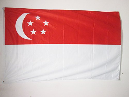 AZ FLAG Singapore Flag 3' x 5' External Use - Singaporean Flags 90 x 90 cm - Banner 3x5 ft Knitted Polyester