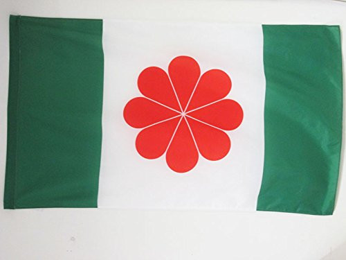 AZ FLAG Taiwan independentist Flag 2' x 3' for a Pole - Taiwanese Flags 60 x 90 cm - Banner 2x3 ft with Hole