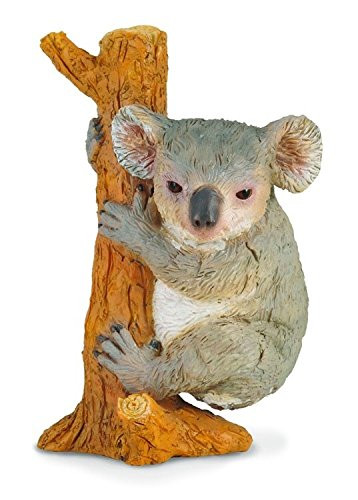 CollectA Wildlife Koala Bear Climbing a Tree Toy Figure - Authentic Hand Painted Model