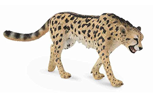 CollectA Wildlife King Cheetah Toy Figure - Authentic Hand Painted Model