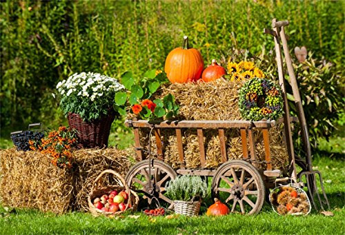 Laeacco Autumn Harvest Backdrop 10x6.5ft Vinyl Photography Background Scarecrow Harvest Pumpkins Patch Trolley Haystack Countryside Backdrop Farm Country Thanksgiving Rural Background California Laeacco Autumn Harvest Backdrop 10x6.5ft Vinyl Photography Background Scarecrow Harvest Pumpkins Patch Trolley Haystack Countryside Backdrop Farm Country Thanksgiving Rural Background California